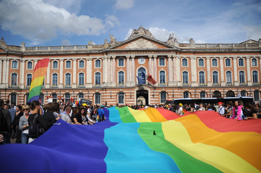 Gay pride 2011 Ã Toulouse
