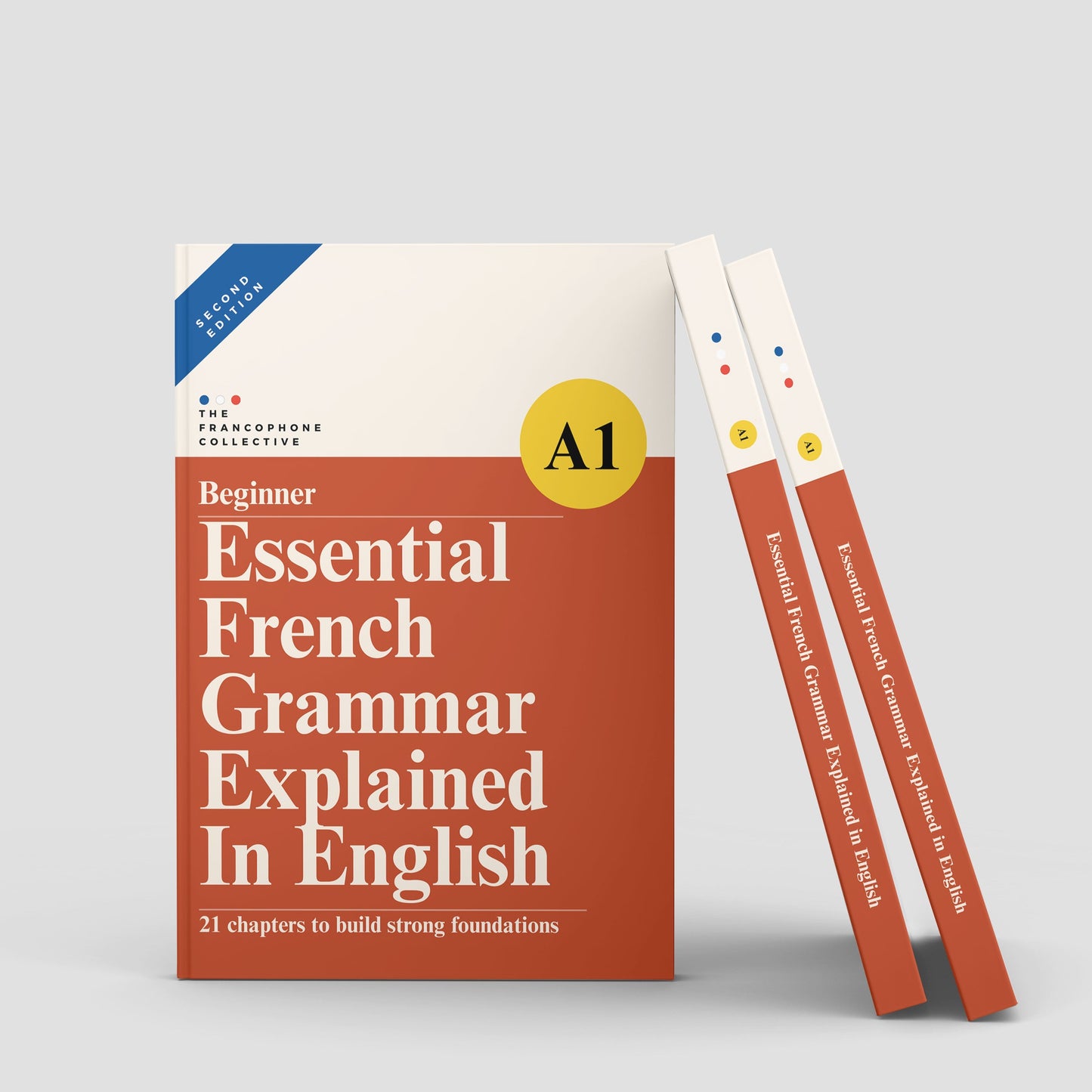 DELF A1 Beginner: Essential French Grammar Explained in English