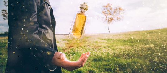 edito-envol-Slideshow-3.jpg.scale.1248.550.high