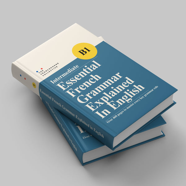 DELF B1 Essential French Grammar Explained in English – The Francophone ...