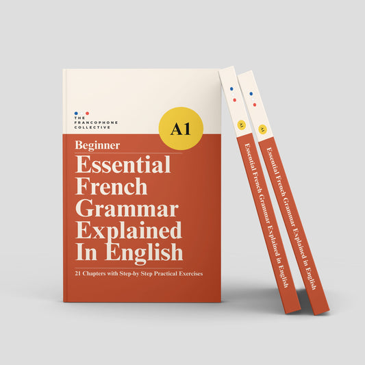 DELF A1 Beginner: Essential French Grammar Explained in English