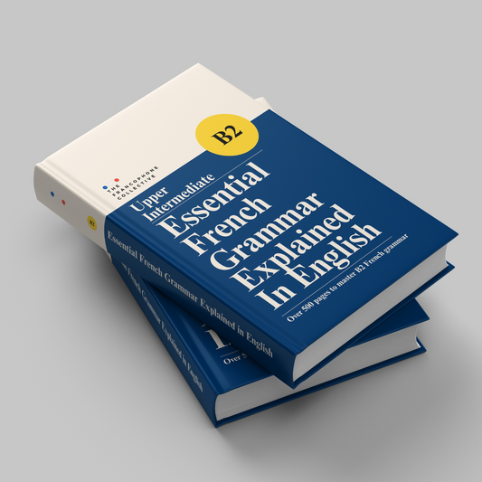 DELF B2 Essential French Grammar Explained in English